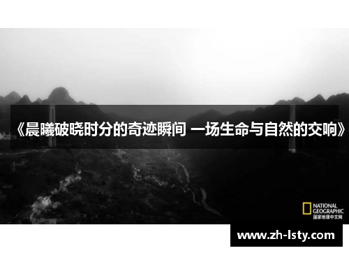 《晨曦破晓时分的奇迹瞬间 一场生命与自然的交响》